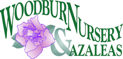 WB Nursery Logo